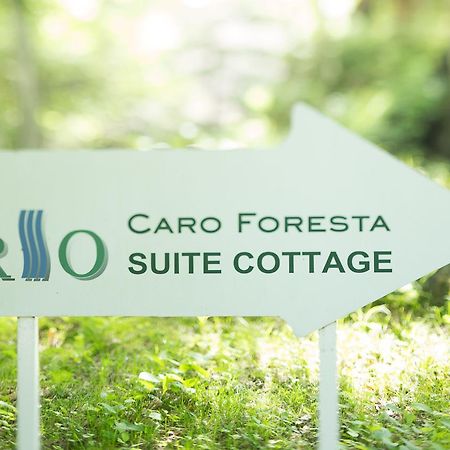 ホテルCaro Foresta 北軽井沢 Rio 嬬恋村 エクステリア 写真